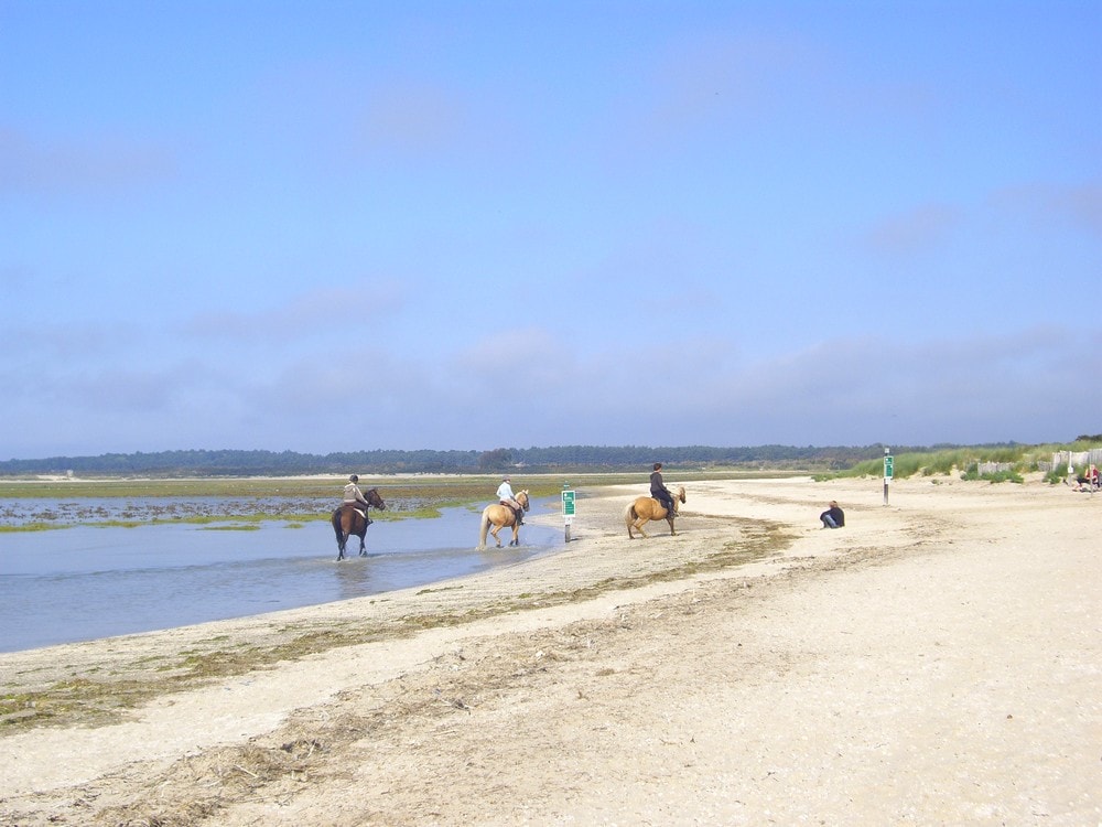 Promenade à cheval sur la plage du Crotoy en Baie de Somme
